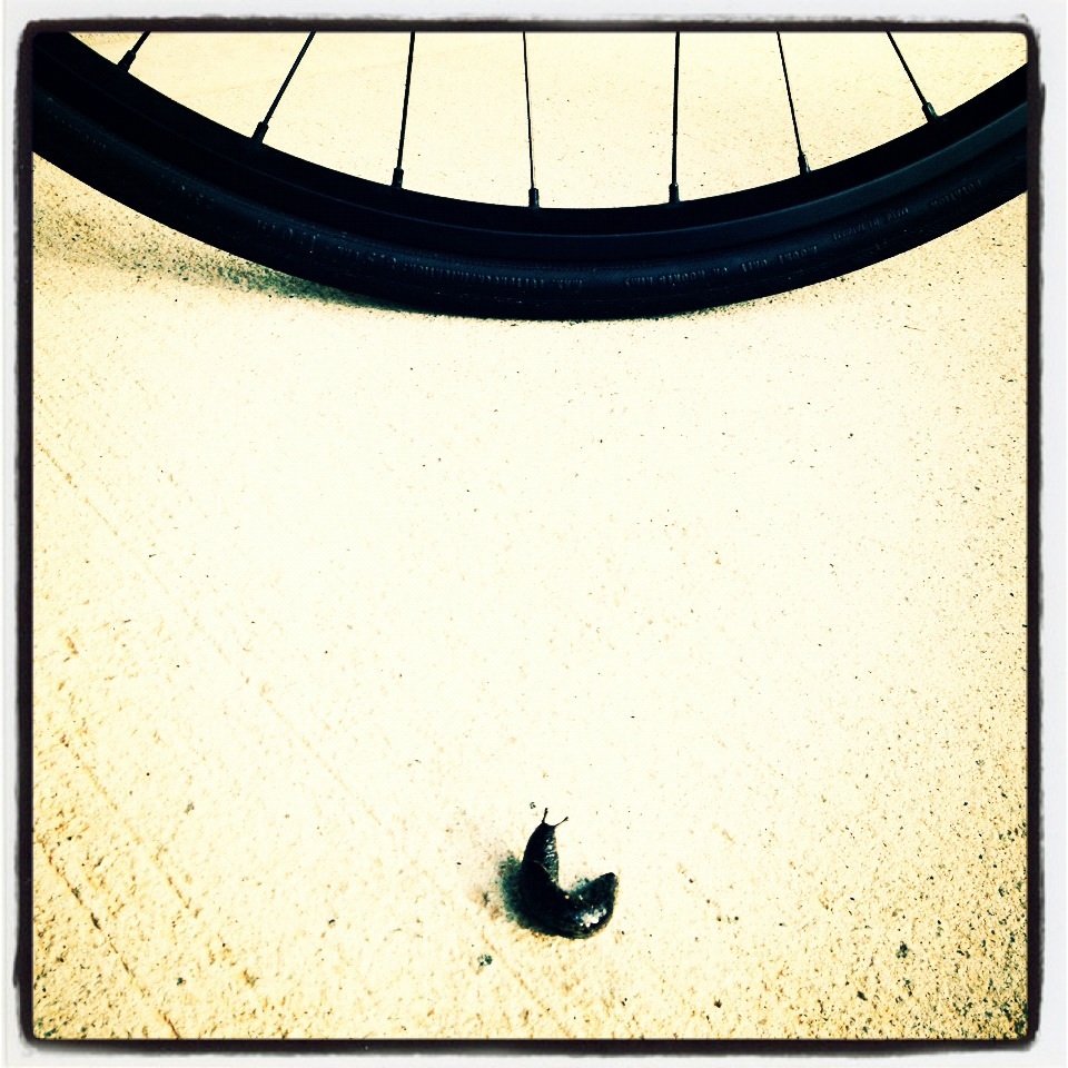 Scott Joe Young Wheels Master Bicycle Wheel Builder