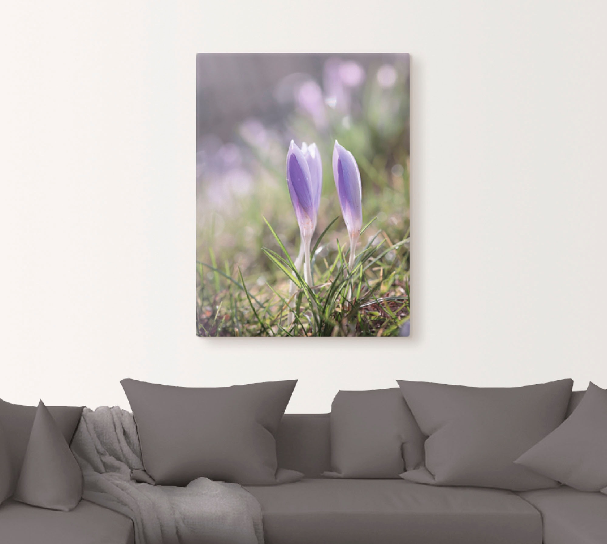 Artland Wandbild »Krokus im frühen Gegenlicht«, Blumen, (1 St.), in