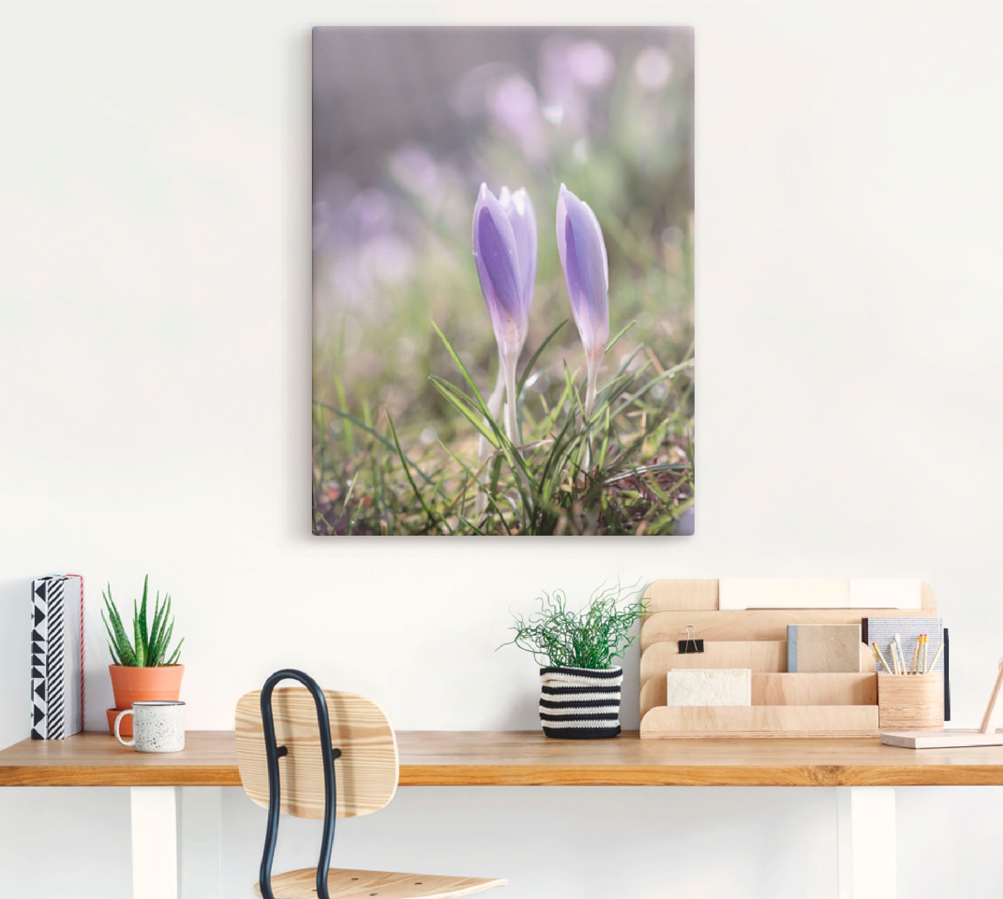 Artland Wandbild »Krokus im frühen Gegenlicht«, Blumen, (1 St.), in