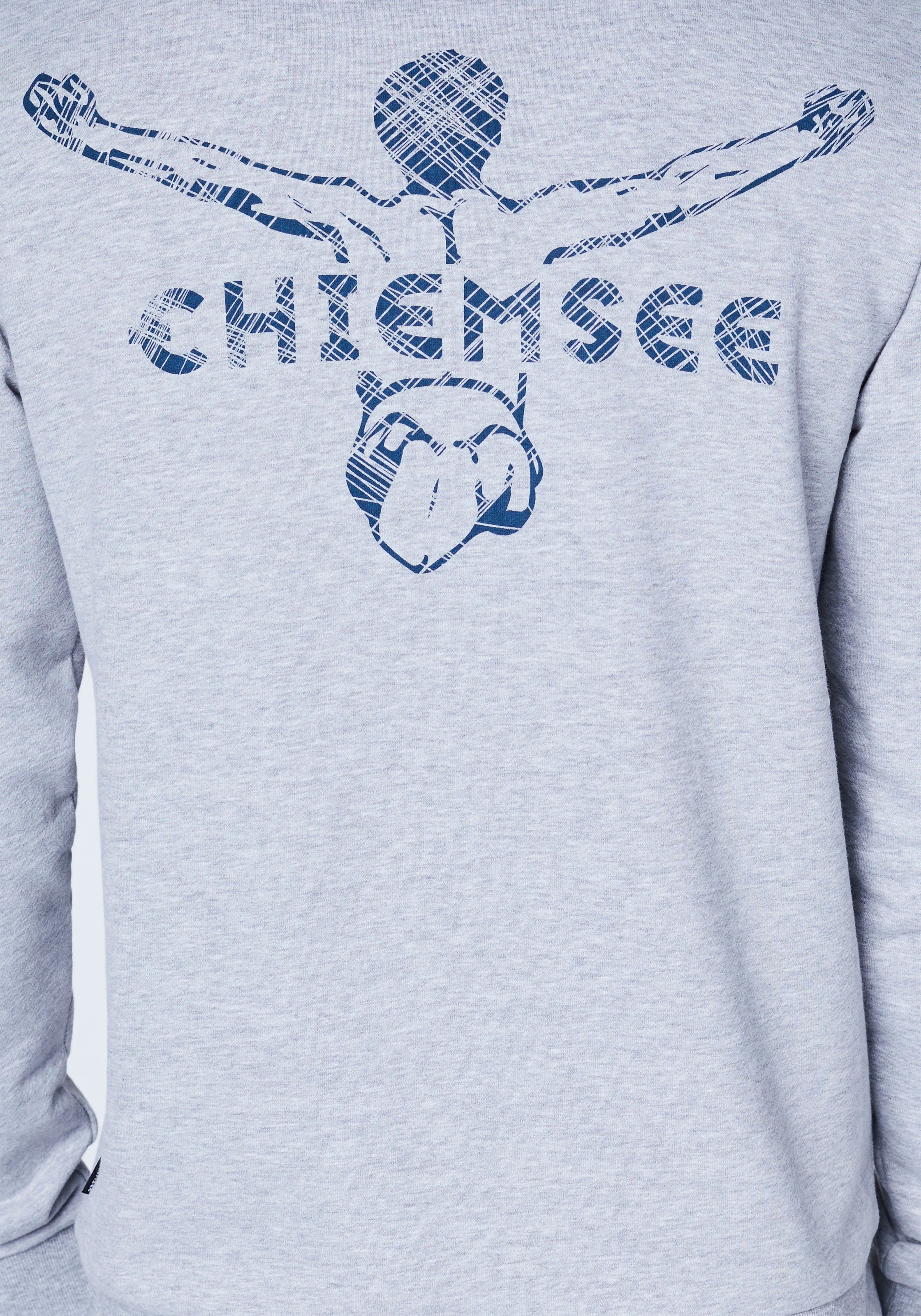 Chiemsee Sweatshirt »Hoodie für Herren« bestellen BAUR