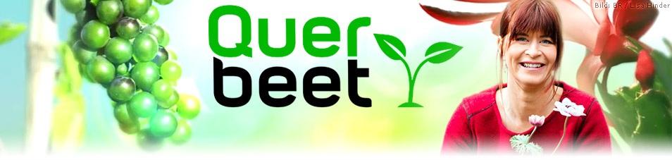Querbeet Streams (BR Mediathek) fernsehserien.de