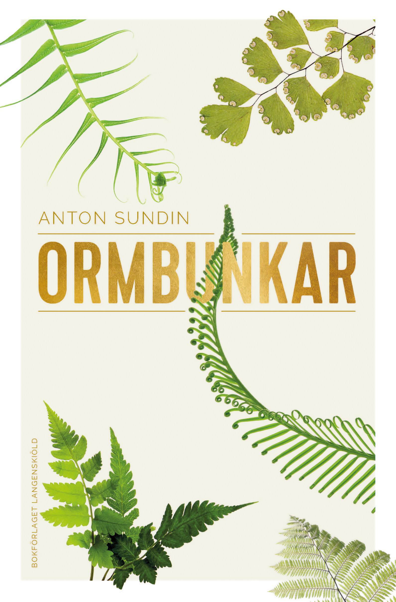Bokhandlarn möter... Anton Sundin, Ormbunkar