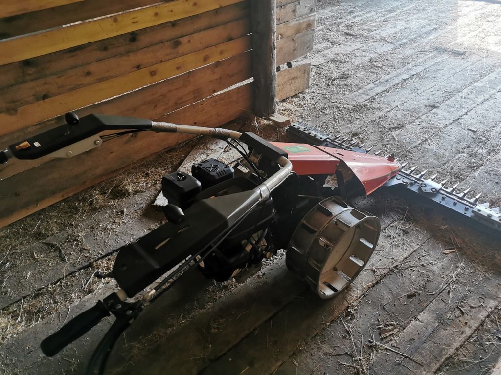 Motormäher Motormäher Reform 216 S gebraucht kaufen