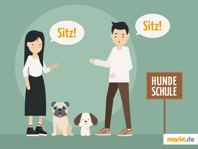 Alles über Deinen Hund So Sorgst Du Für Dein Lieblingstier Mit.