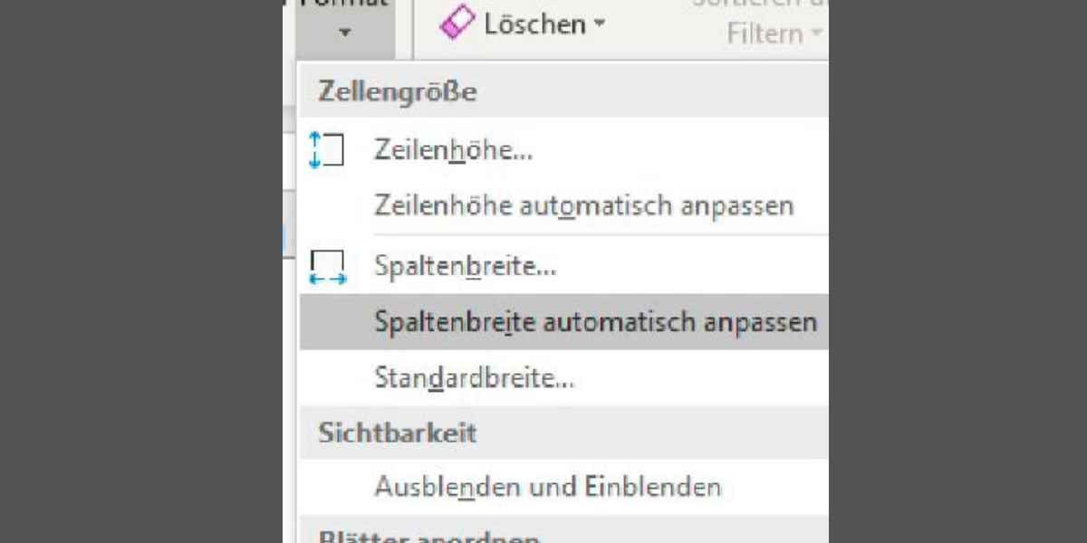 Die ExcelBibel Tipps und Tricks für jede Situation PCWELT
