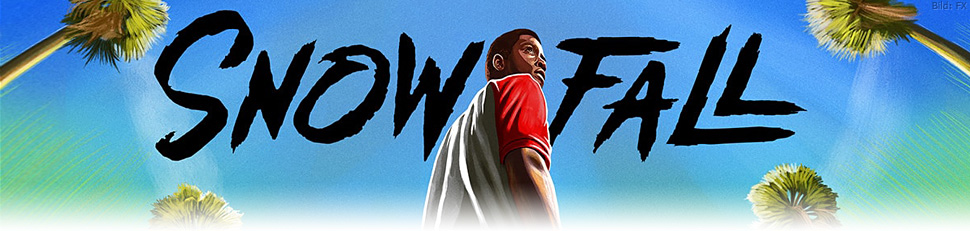 Snowfall 2023 Series