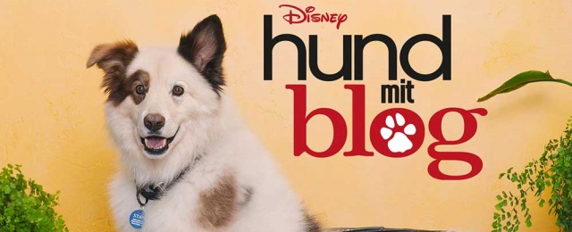 "Hund mit Blog" Disney Channel zeigt dritte Staffel ab Mitte Juni