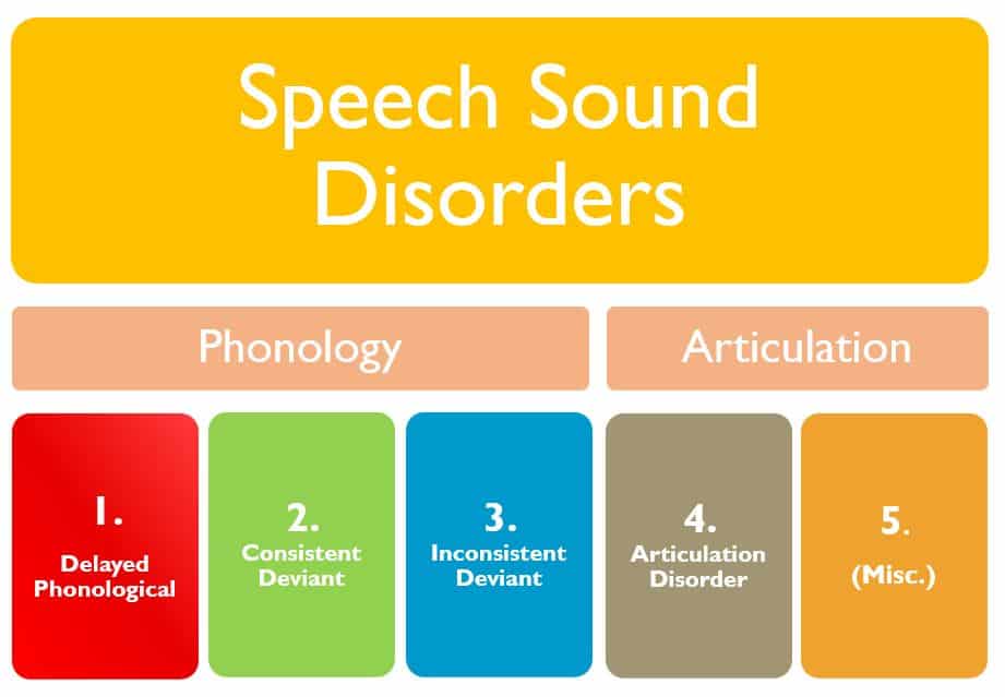 The 3 Prevailing Speech Sound Disorders Research Models
