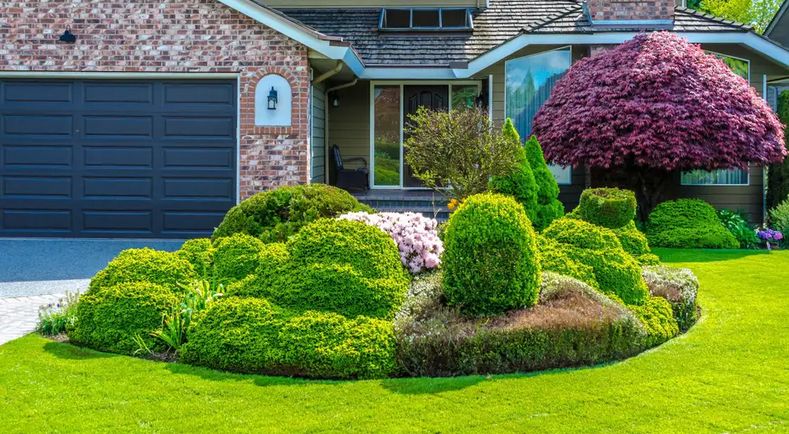 Plants Can Instantly Boost Your Home’s Curb Appeal | Calgary