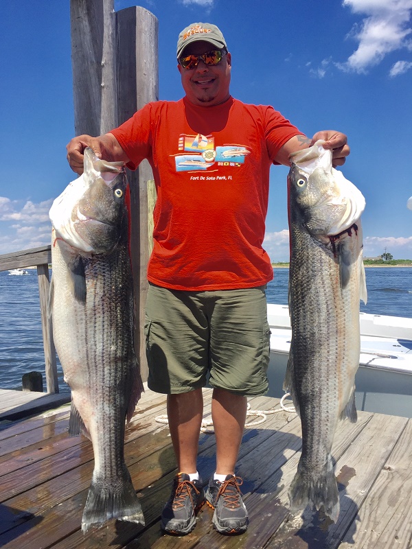 Raritan Bay NJ. Striped Bass Fishing Charters Bill Chaser Sandy Hook