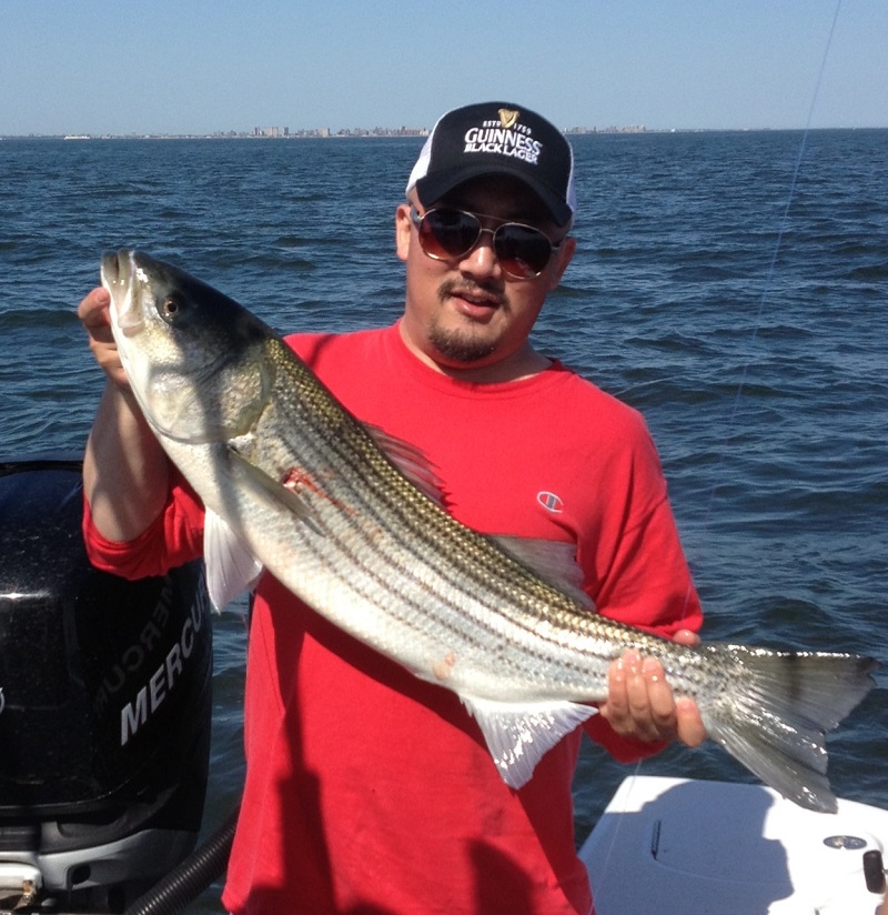 Striped Bass Charters Raritan Bay New Jersey Bill Chaser Sandy Hook