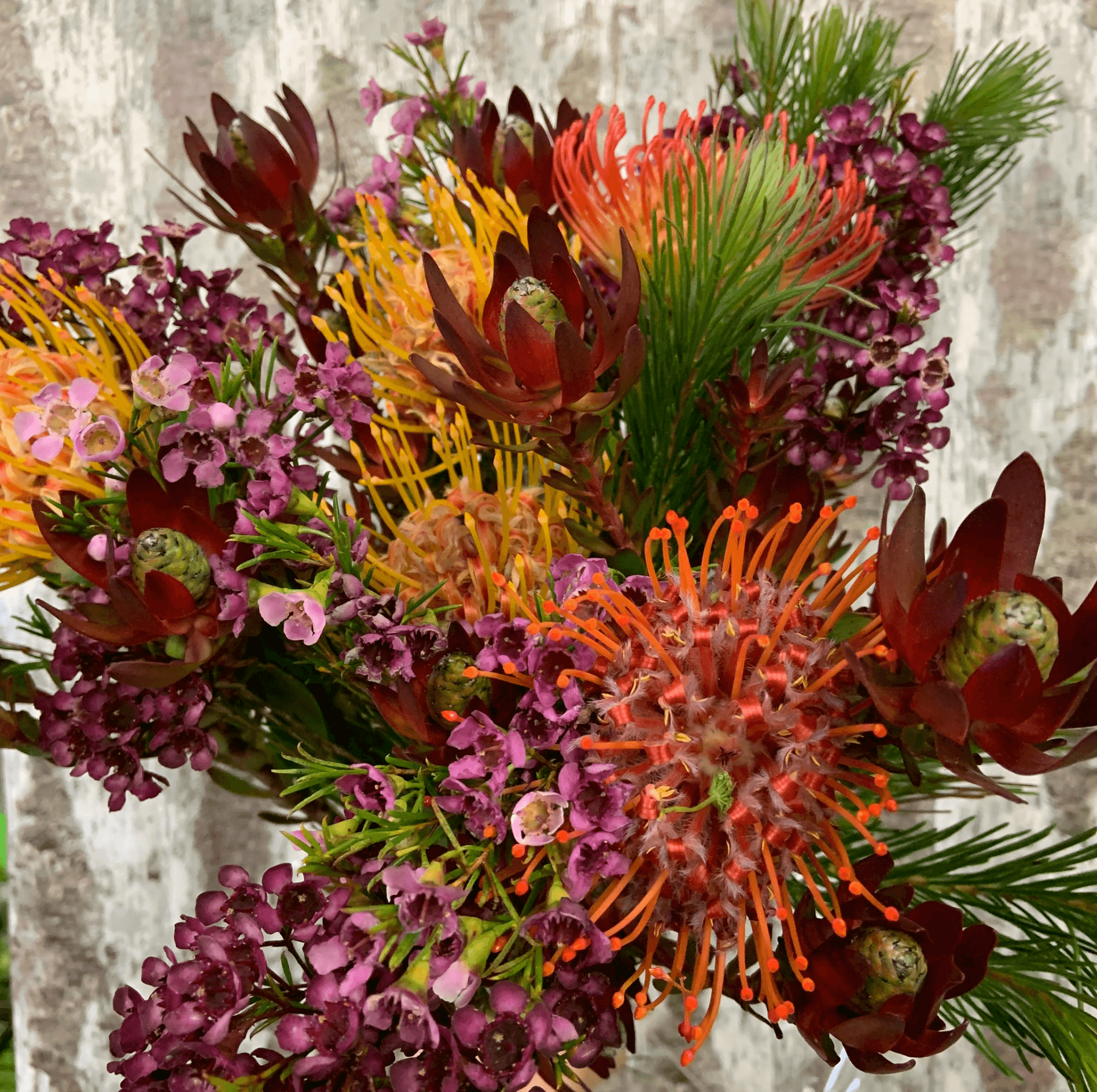 Inspiration Bill Doran Company Wholesale Florist Bulk Flowers