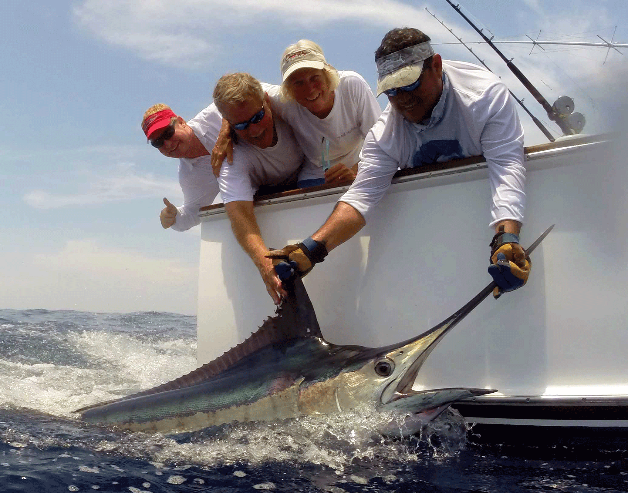 Blue Marlin Conservation Record 2019 The Billfish Foundation The
