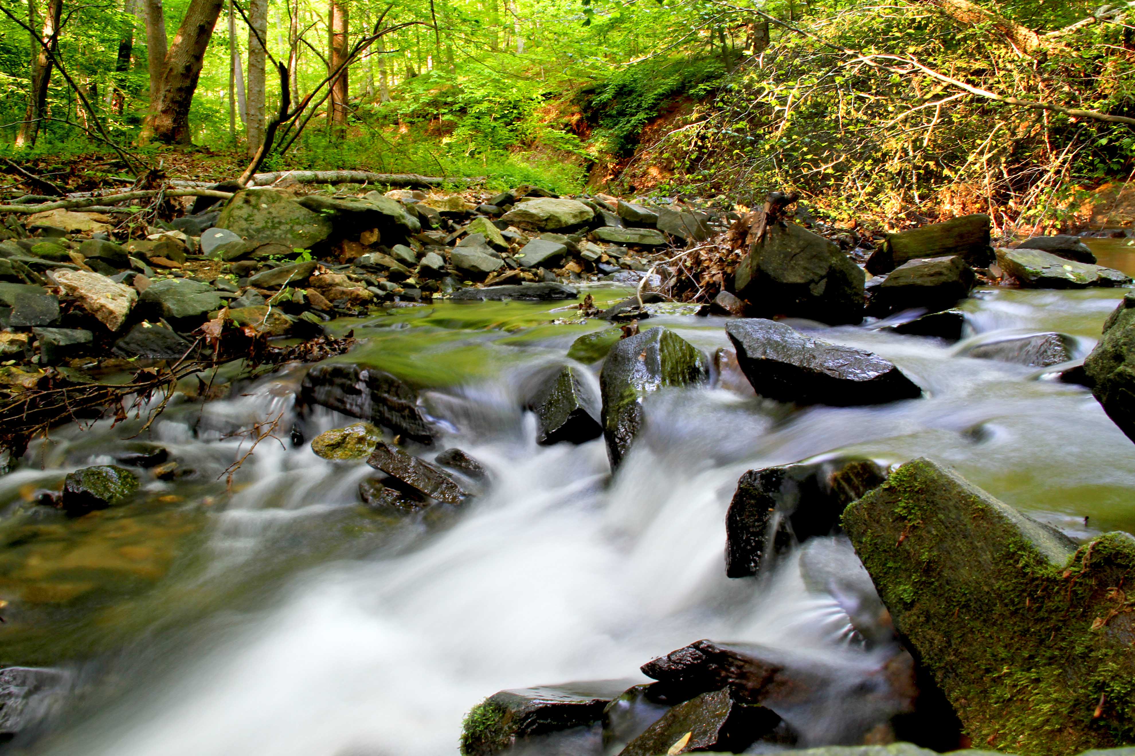 A trip to Gunpowder Falls Billie Weiss