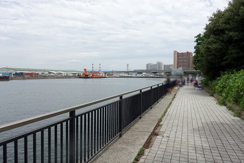 【大阪】なぎさ公園で釣りしてきました！釣果・釣りポイントを解説 ビリオンログ billionlog