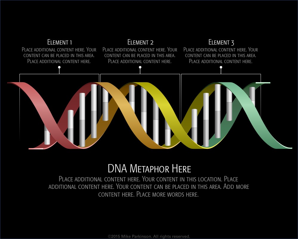 Dna Testing In Zimbabwe Harare Company Establishes Lab