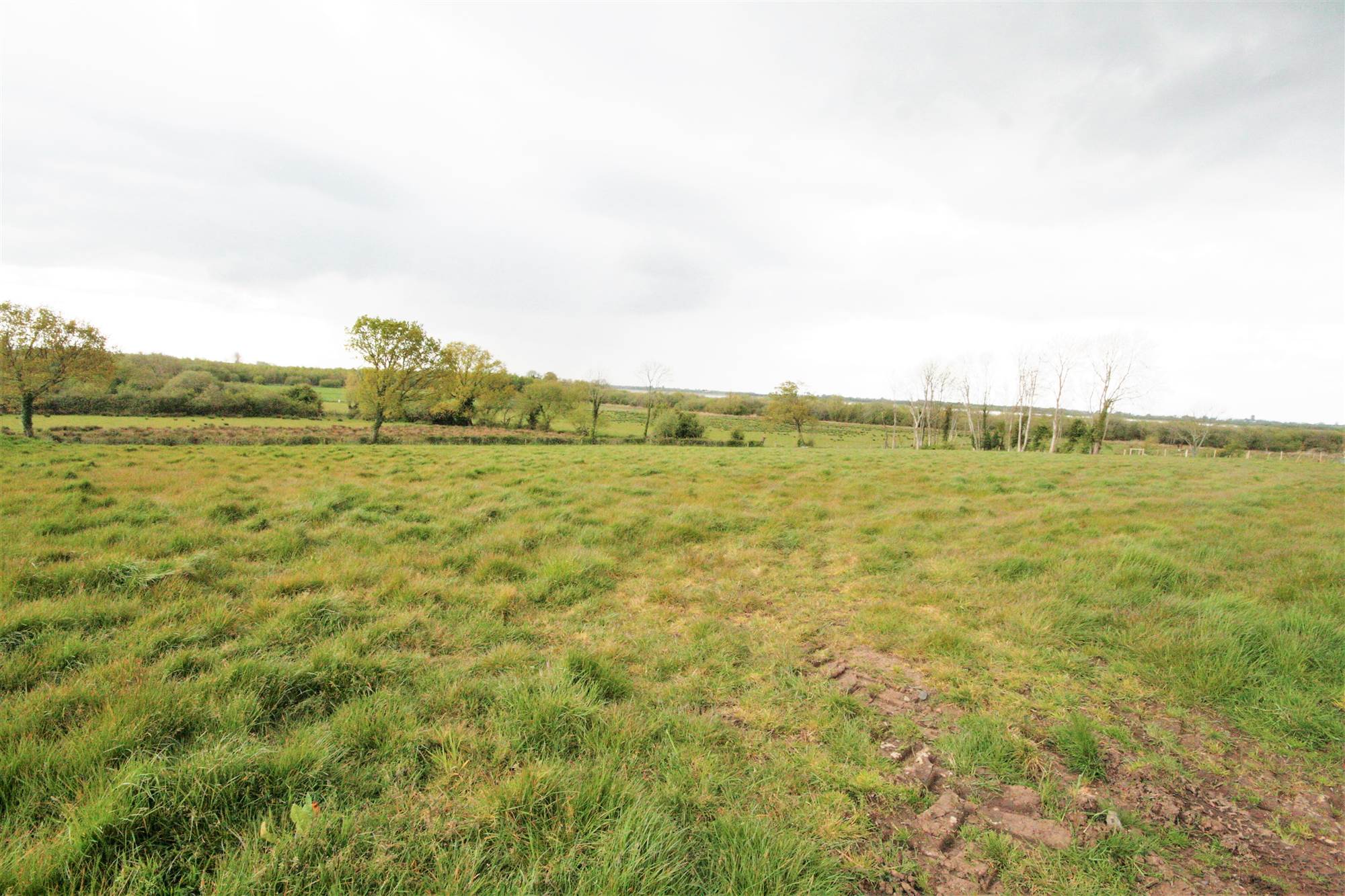Field c.3.7 acres Agricultural Land Crumlin Road Lisburn Bill McCann