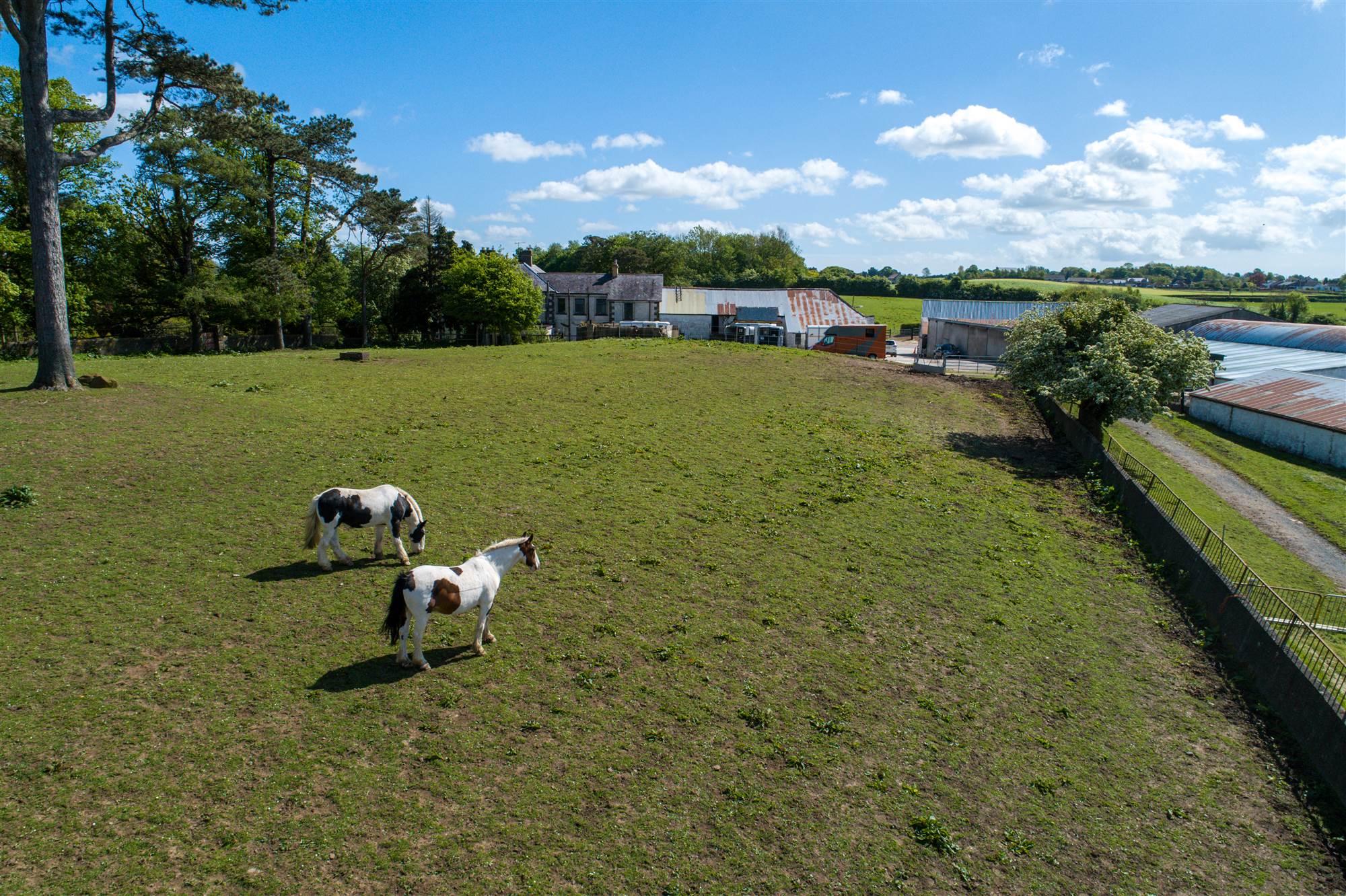 Danescroft Equestrian Centre 21 Waterloo Road Lisburn Bill McCann