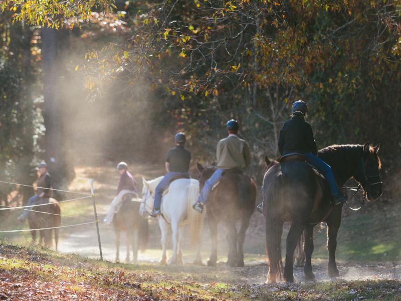 Details Of Biltmore's Events Biltmore