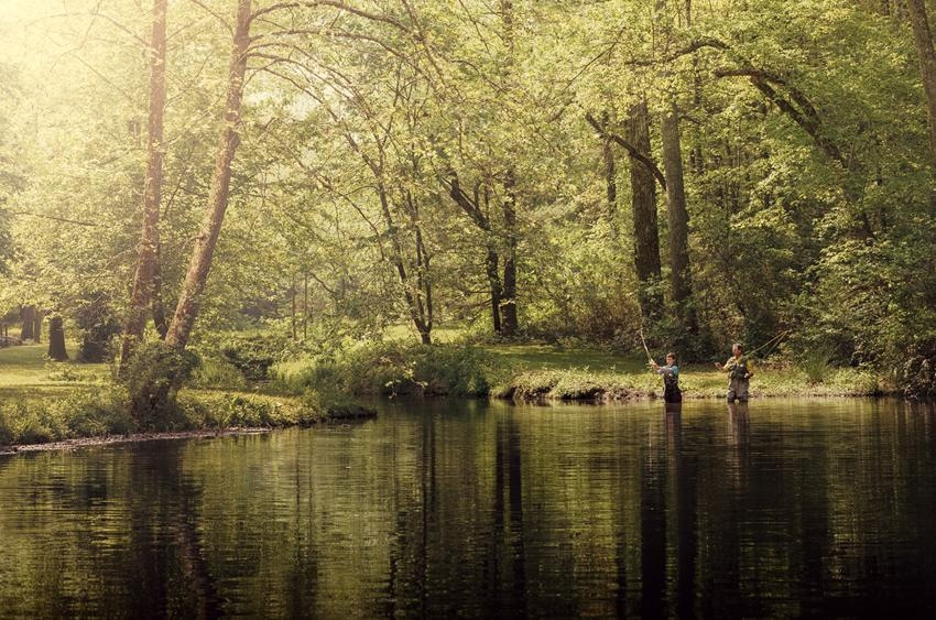 Biltmore 2014 Summer Things to Do