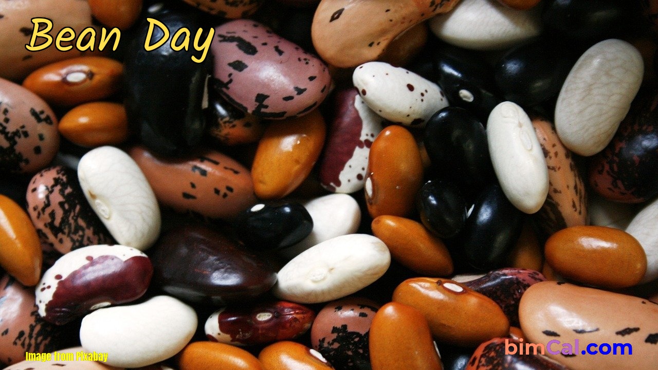 bean day 2023 Bean Day 2023
