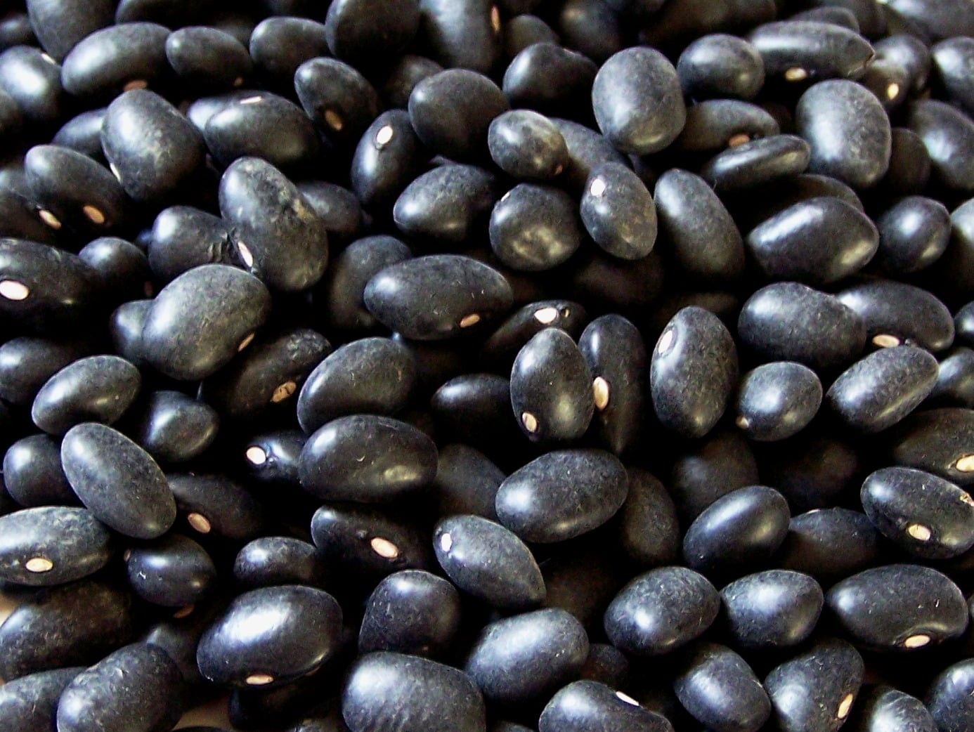 Top Four Healthiest Beans Found in Bali Markets — BIMC Hospital Bali