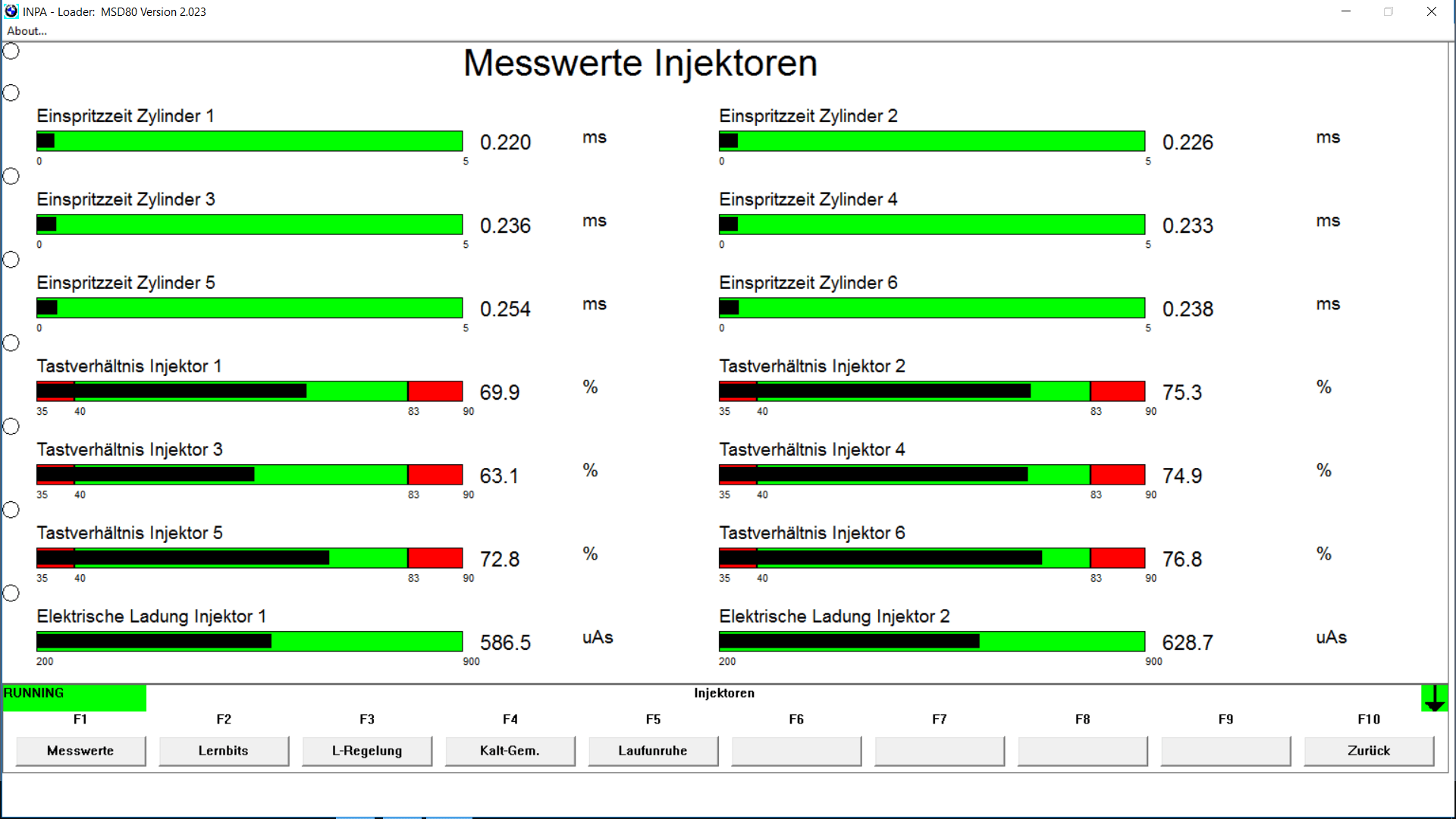 BMW N43 N53 N52 INPA loader 2.023 diagnostics MSV70 MSV80 MSD80
