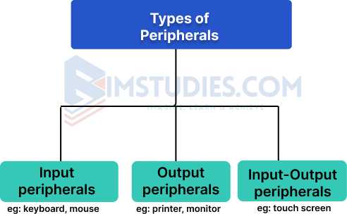 Peripheral Devices | BimStudies.Com