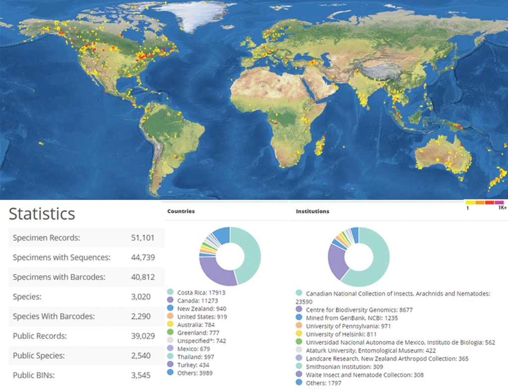 Craigslist México Df Telegraph