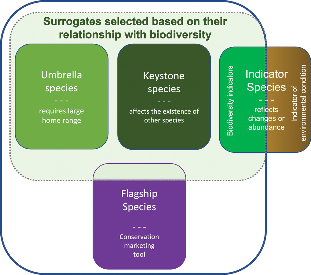 Umbrella Species