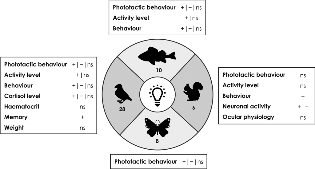 Does a flashing artificial light have more or conversely less impacts