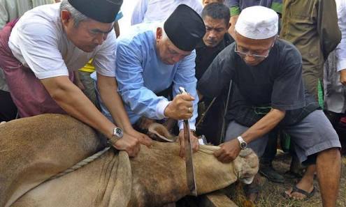 Hukum Membaca Bismillah saat Sembelih Hewan Kurban | Bincang Syariah