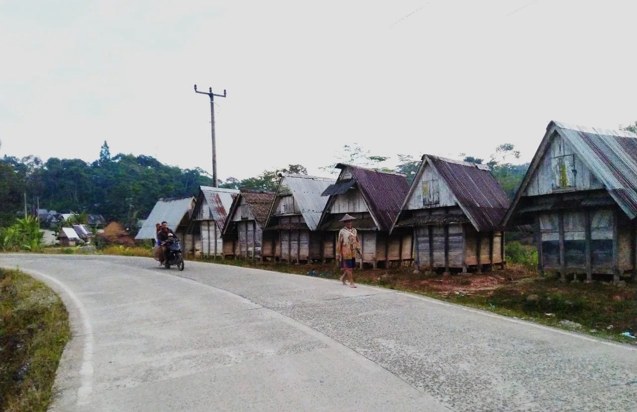 Melongok Sistem Ketahanan Pangan Wewengkon Kasepuhan Citorek