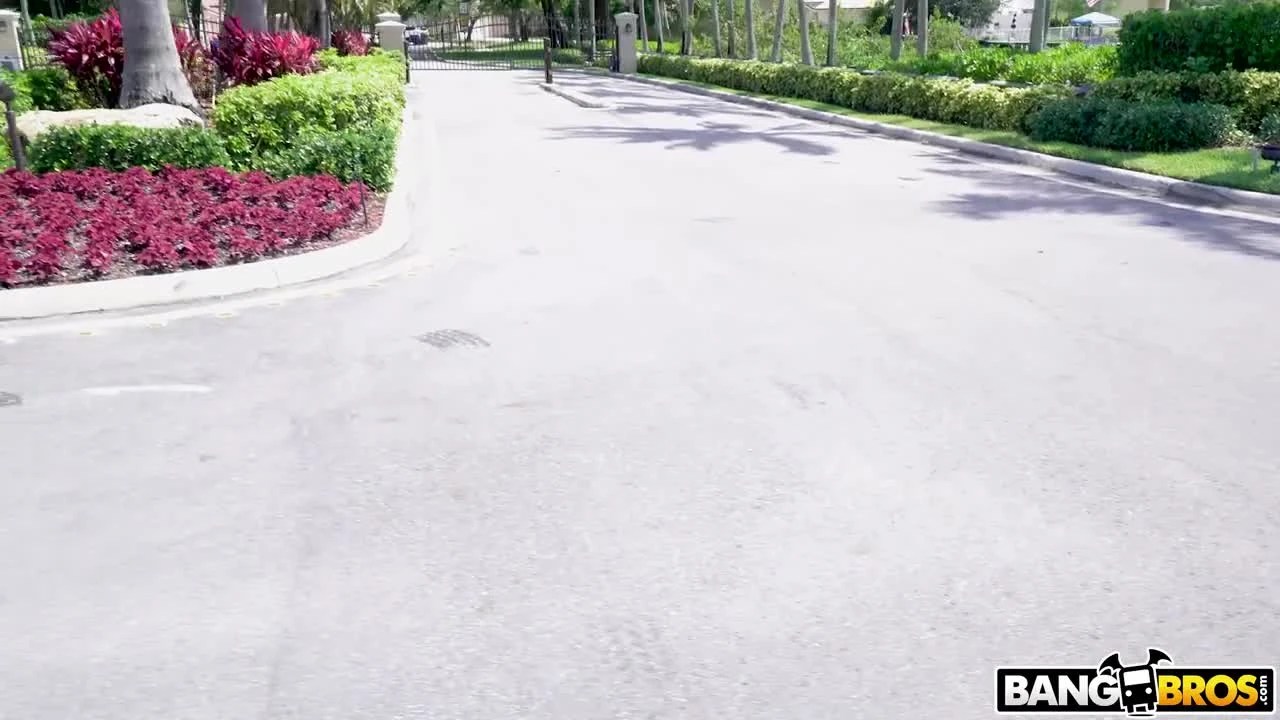 Bangbus With 5 Kilos Of Boobs Free HD Porn - Bingato