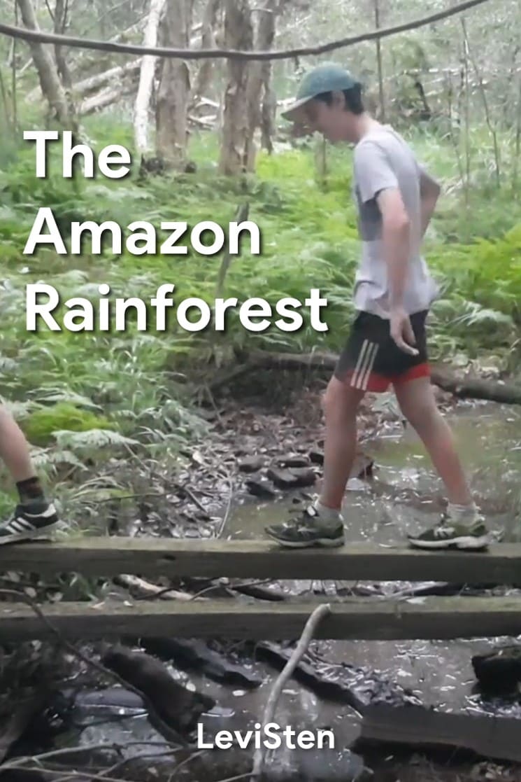 Amazon Rainforest Movies List at Grant Kriebel blog