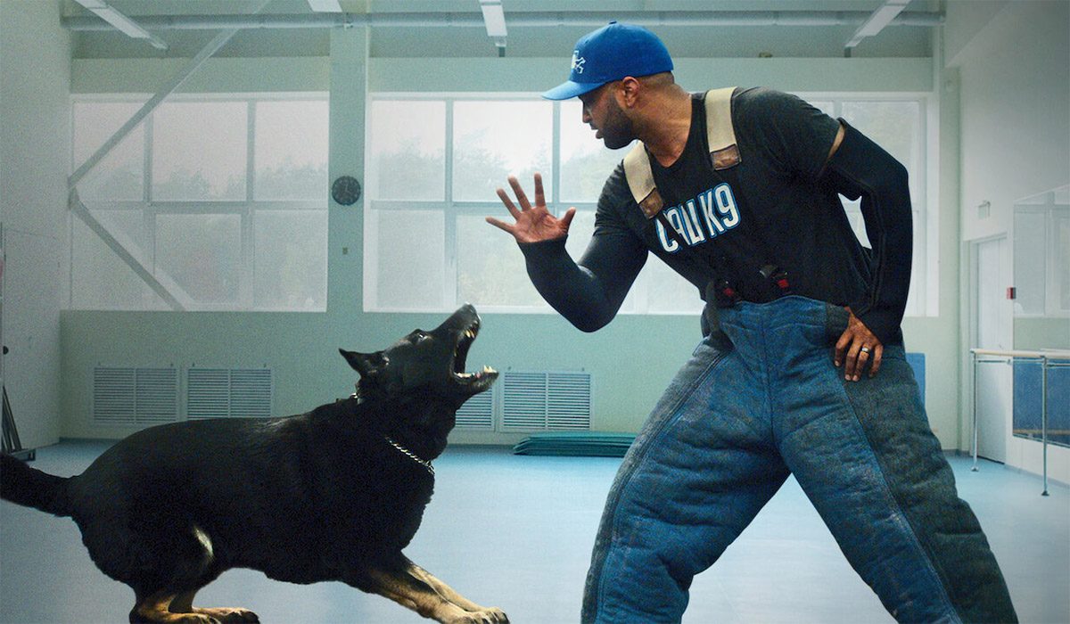 Canine Intervention Web Series Streaming Online Watch on