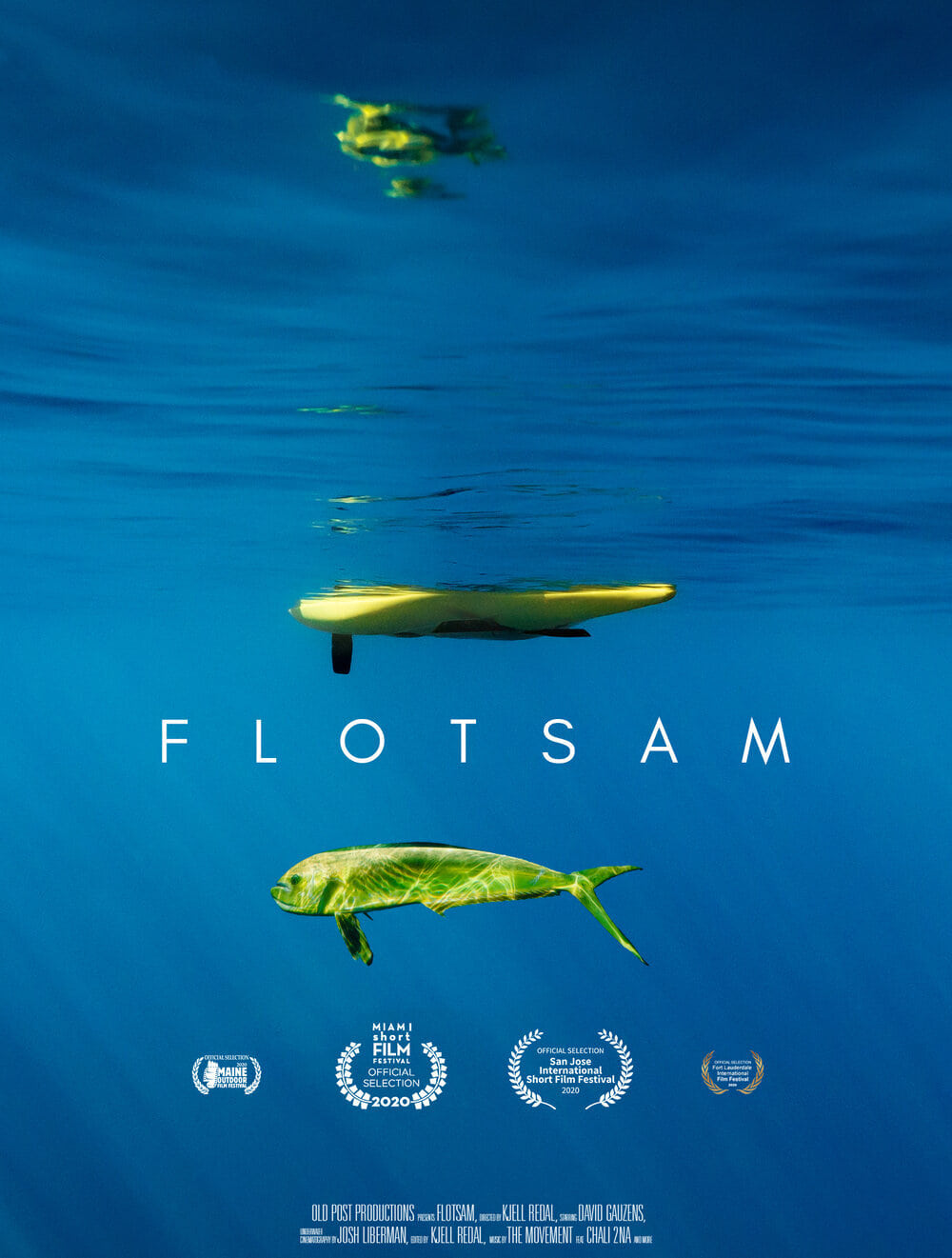 FLOTSAM Movie Streaming Online Watch