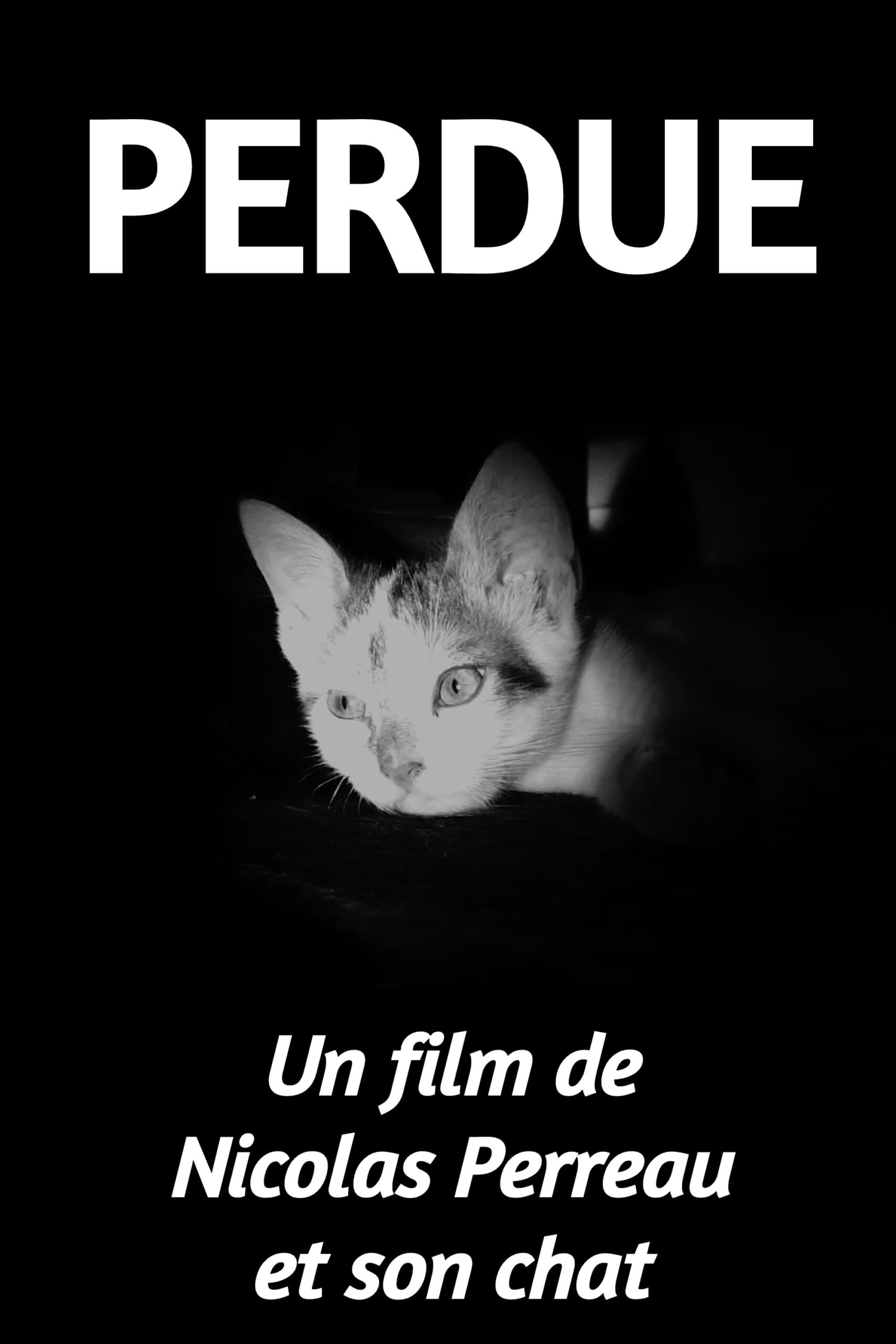 Perdue French Movie Streaming Online Watch