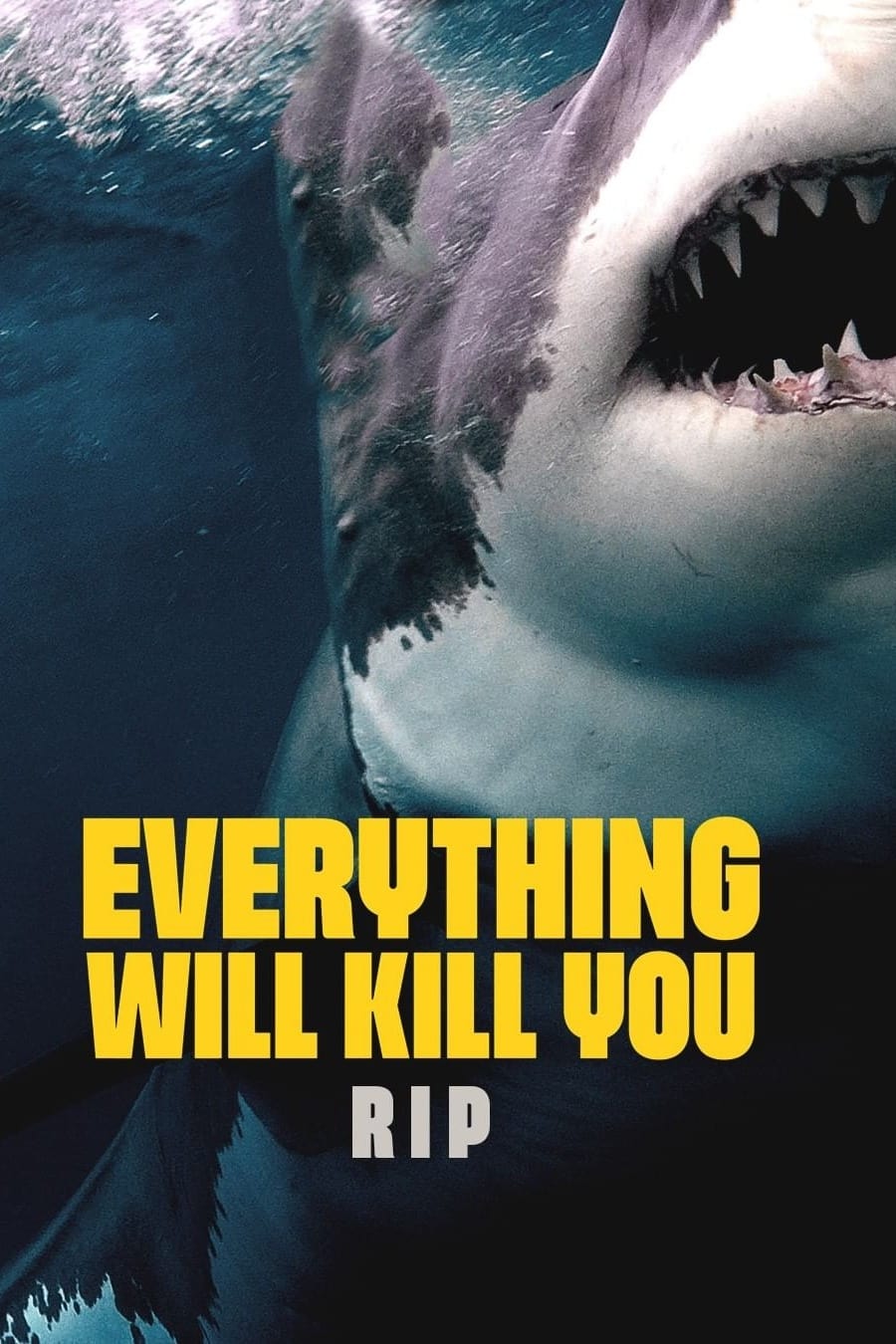 EVERYTHING WILL KILL YOU RIP Movie Streaming Online Watch
