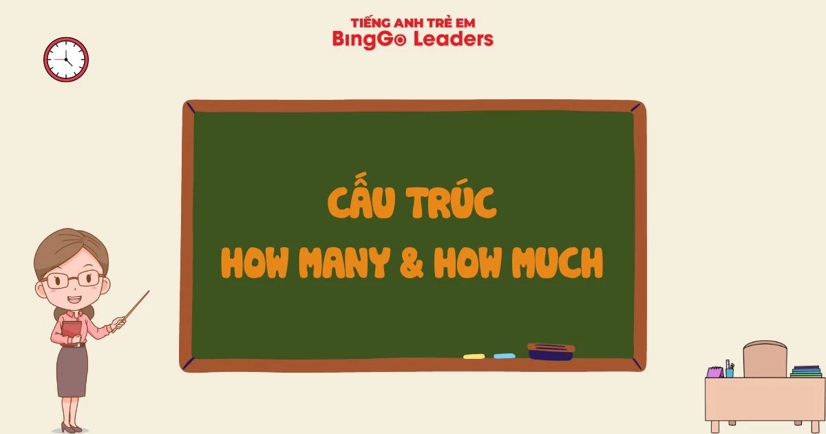 CẤU TRÚC HOW MANY VÀ HOW MUCH CÁCH DÙNG VÀ PHÂN LOẠI