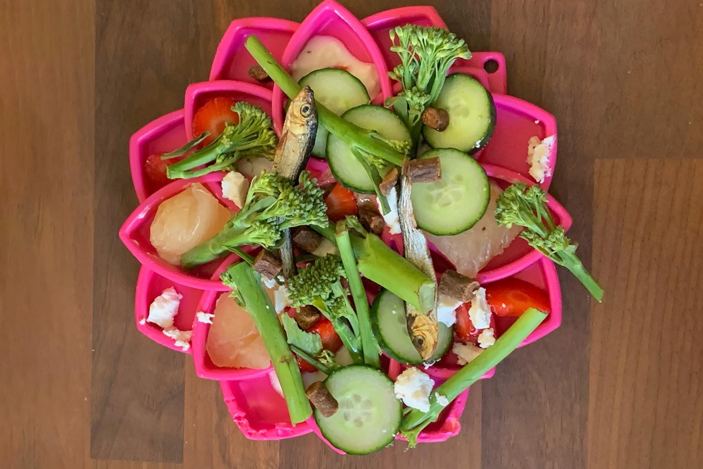 The Art of Nutritional Enrichment — Enrichment 101 Bings Best Things