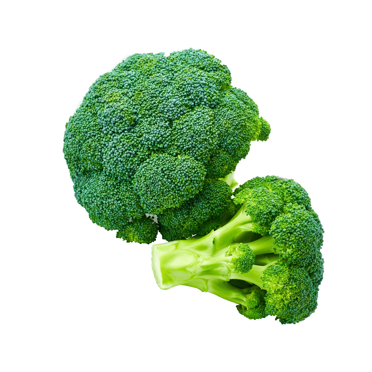 Broccoli (USDA Organic) BinksBerry Hollow