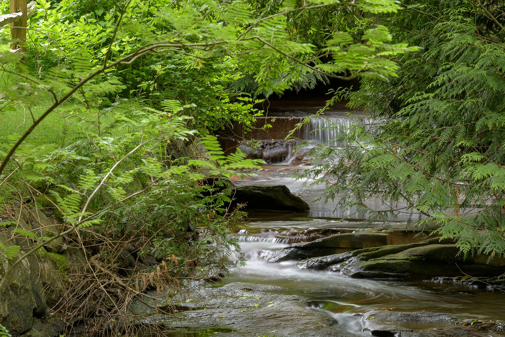 Renfrew Ravine Park Community Spaces, Landscape Architecture Binnie