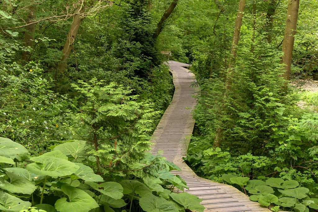 Renfrew Ravine Park Community Spaces, Landscape Architecture Binnie