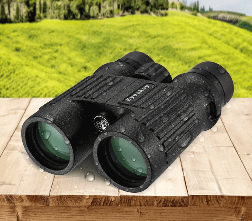 Are Expensive Binoculars Worth the Money? BINOCULARS GUIDES
