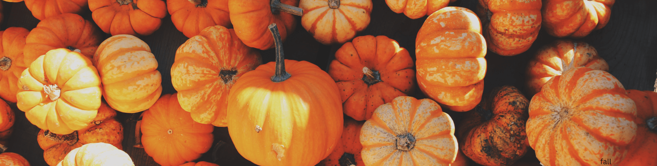 Fall for These binske Strains to Spice Up Your Autumn Binske