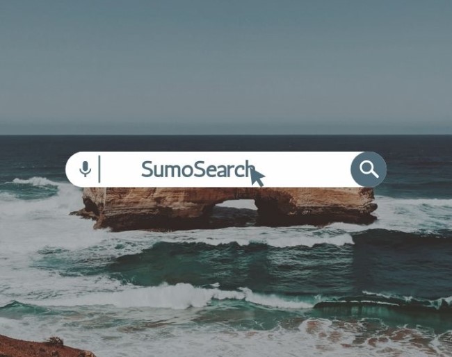 Unleash the Power of SumoSearch Discover Hidden Insights with Ease(02)