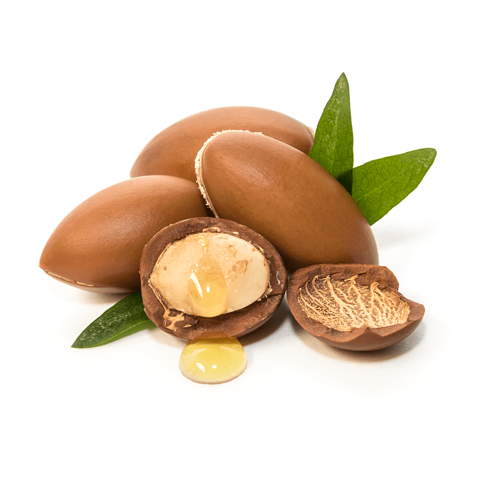 Products Bio Ingredients