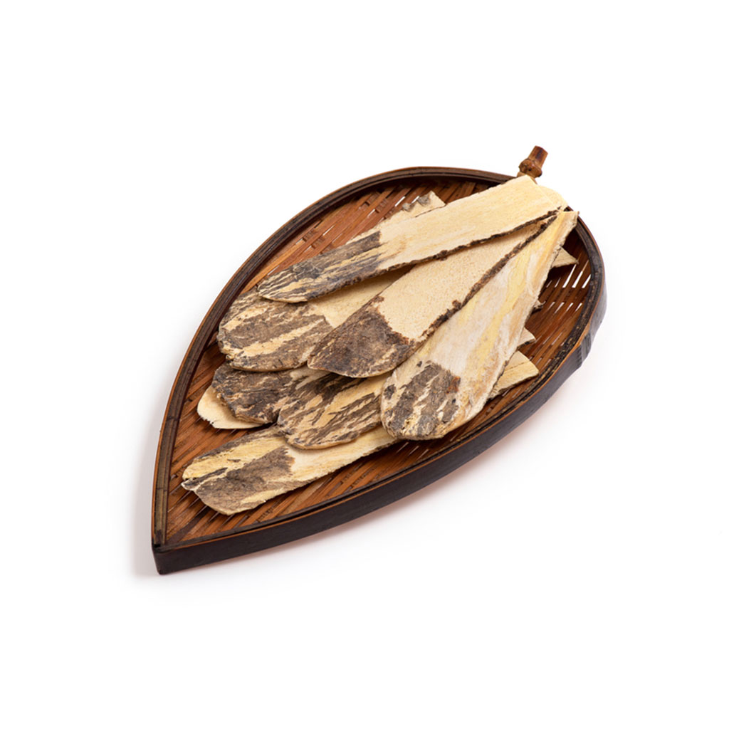 Astragalus Root Extract Bionorm