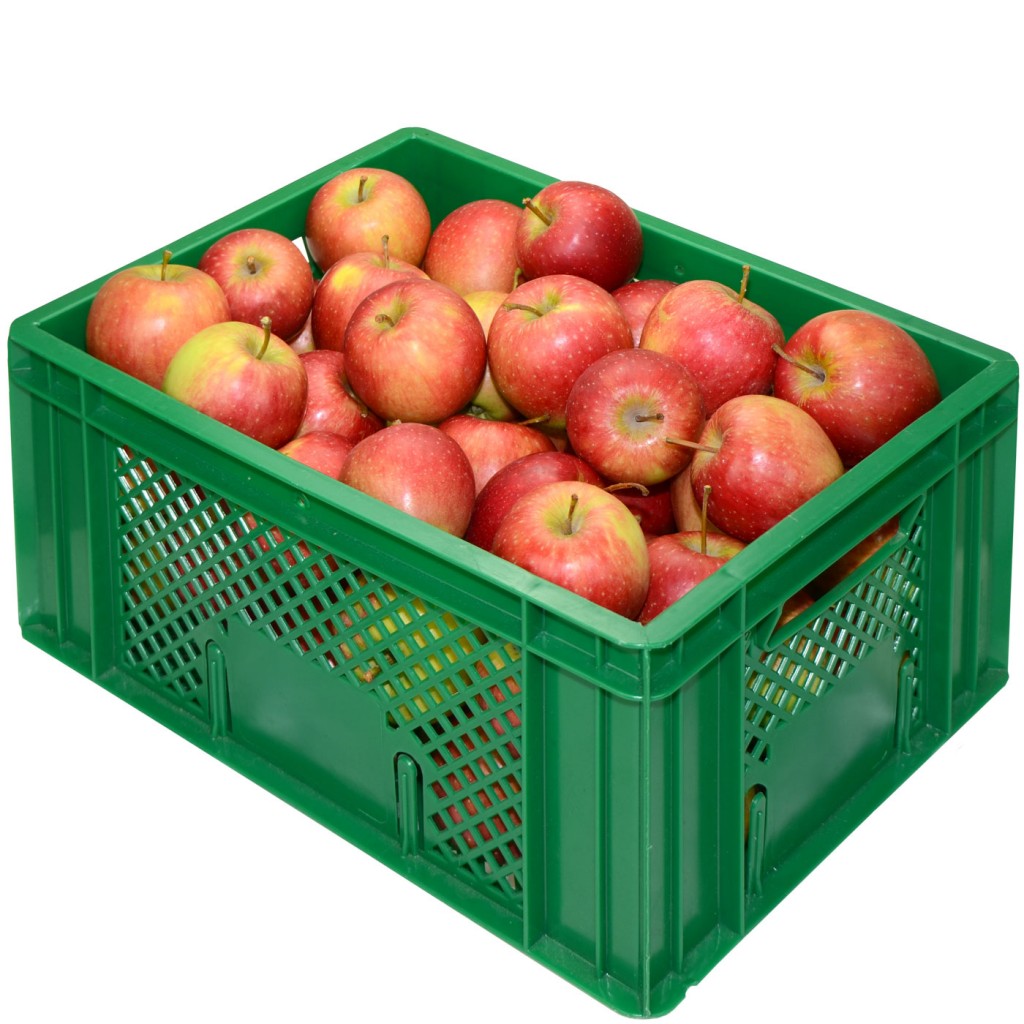 BioApfelkiste "Topaz" 6 kg BIOOBSTKORB